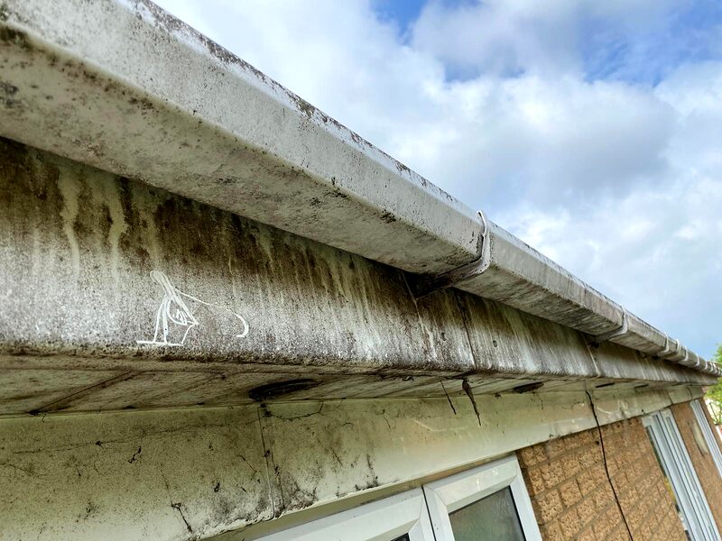 Gutter packed with moss and leaf litter before cleaning