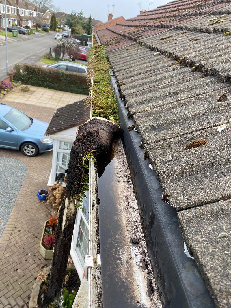 Overflowing gutter with visible plant growth before cleaning