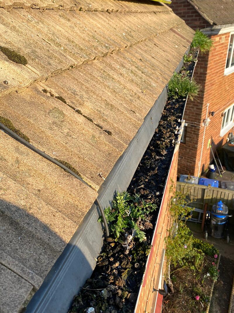 Blocked downpipe entry filled with debris before cleaning